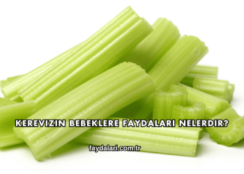 Kerevizin Bebeklere Faydaları Nelerdir?