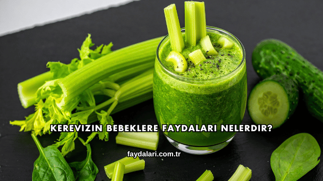 Kerevizin Bebeklere Faydaları Nelerdir?