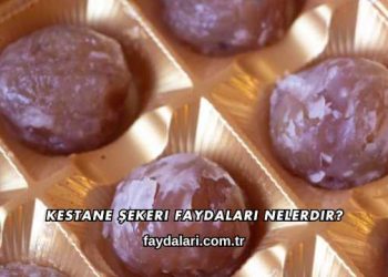 Kestane Şekeri Faydaları Nelerdir?