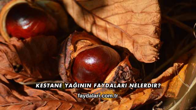 Kestane Yağının Faydaları Nelerdir?