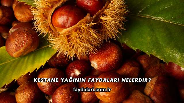 Kestane Yağının Faydaları Nelerdir?