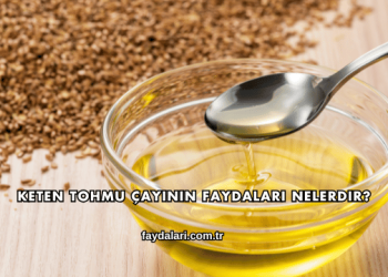 Keten Tohmu Çayının Faydaları Nelerdir?