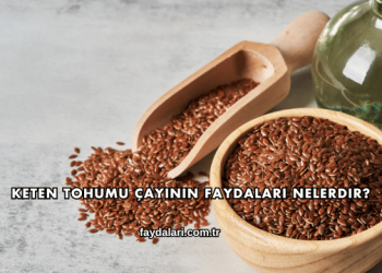 Keten Tohumu Çayının Faydaları Nelerdir?