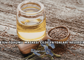 Keten Tohumu Maskesi Cilde Faydaları Nelerdir?