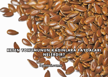 Keten Tohumunun Kadınlara Faydaları Nelerdir?