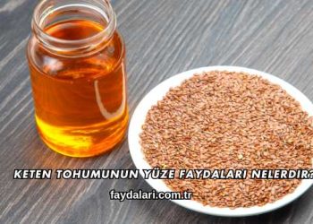 Keten Tohumunun Yüze Faydaları Nelerdir?