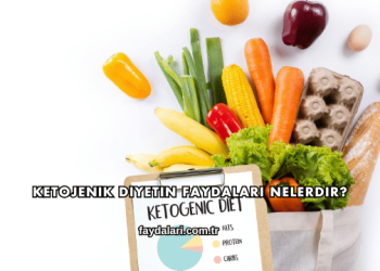 Ketojenik Diyetin Faydaları Nelerdir?