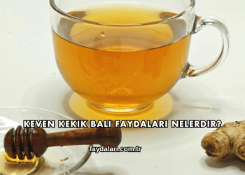 Keven Kekik Balı Faydaları Nelerdir?