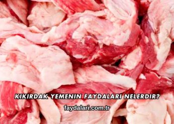 Kıkırdak Yemenin Faydaları Nelerdir?