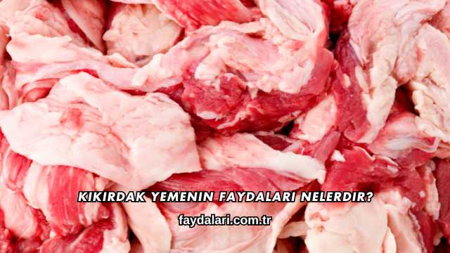 Kıkırdak Yemenin Faydaları Nelerdir?