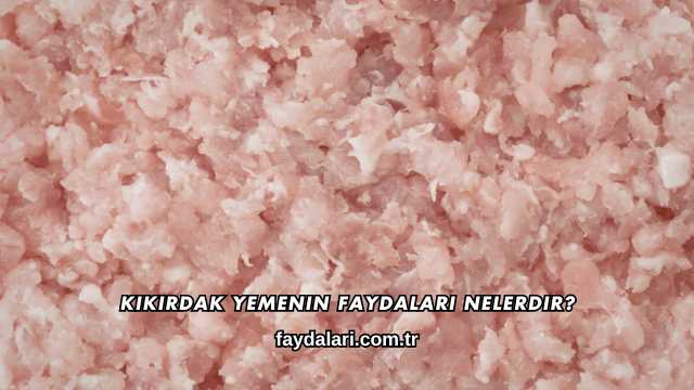 Kıkırdak Yemenin Faydaları Nelerdir?