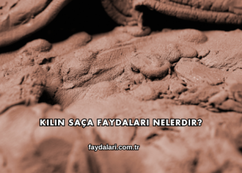Kilin Saça Faydaları Nelerdir?