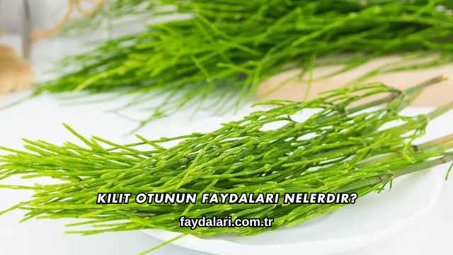 Kilit Otunun Faydaları Nelerdir?