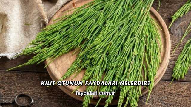 Kilit Otunun Faydaları Nelerdir?