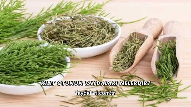 Kilit Otunun Faydaları Nelerdir?