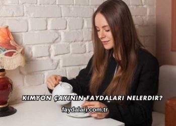 Kimyon Çayının Faydaları Nelerdir?