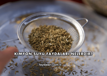 Kimyon Suyu Faydaları Nelerdir?