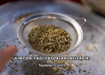 Kimyon Yağı Faydaları Nelerdir?