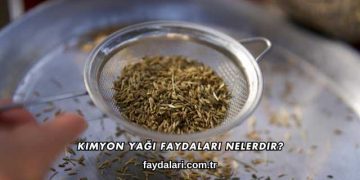 Kimyon Yağı Faydaları Nelerdir?