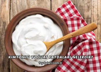 Kimyonlu Yoğurt Faydaları Nelerdir?