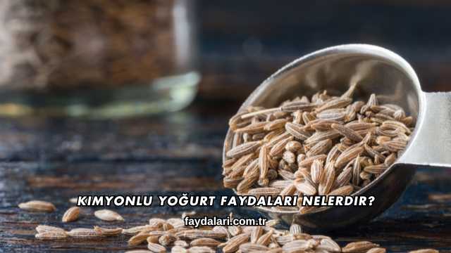 Kimyonlu Yoğurt Faydaları Nelerdir?