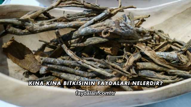 Kına Kına Bitkisinin Faydaları Nelerdir?