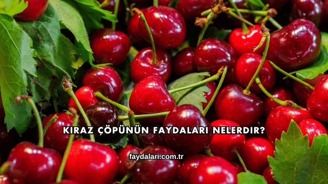 Kiraz Çöpünün Faydaları Nelerdir?