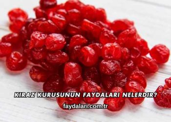 Kiraz Kurusunun Faydaları Nelerdir?
