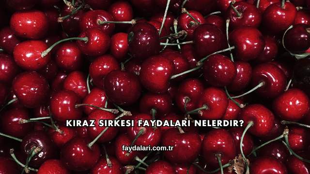 Kiraz Sirkesi Faydaları Nelerdir?