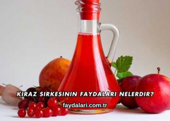 Kiraz Sirkesinin Faydaları Nelerdir?