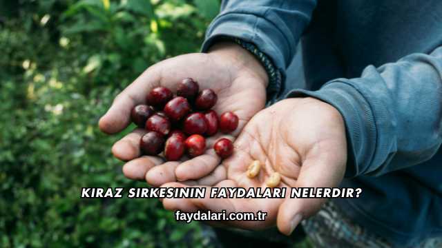 Kiraz Sirkesinin Faydaları Nelerdir?