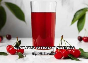Kiraz Suyu Faydaları Nelerdir?