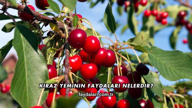 Kiraz Yeminin Faydaları Nelerdir?