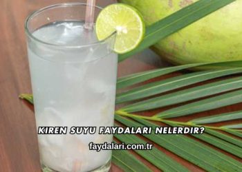 Kiren Suyu Faydaları Nelerdir?