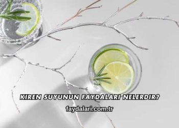 Kiren Suyunun Faydaları Nelerdir?