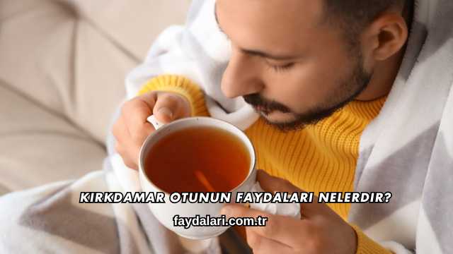 Kırkdamar Otunun Faydaları Nelerdir?