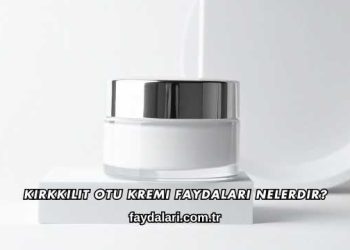Kırkkilit Otu Kremi Faydaları Nelerdir?
