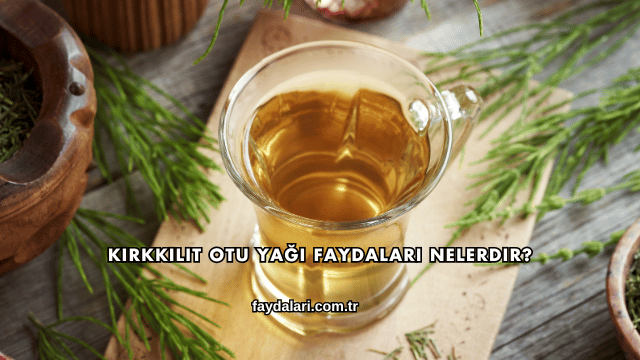 Kırkkilit Otu Yağı Faydaları Nelerdir?
