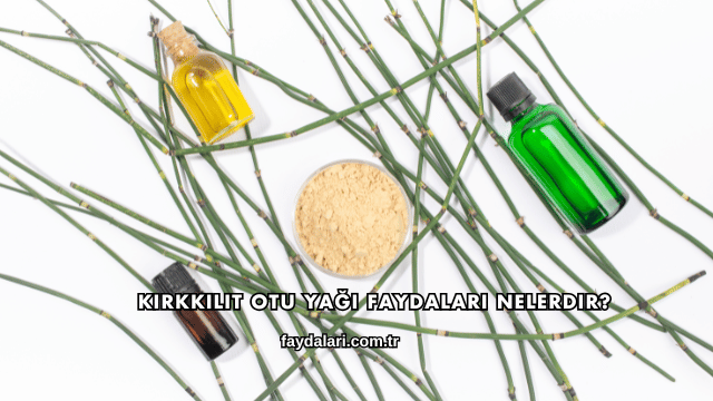 Kırkkilit Otu Yağı Faydaları Nelerdir?