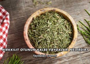 Kırkkilit Otunun Kalbe Faydaları Nelerdir?
