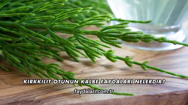 Kırkkilit Otunun Kalbe Faydaları Nelerdir?