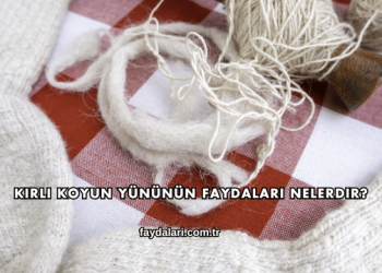 Kirli Koyun Yününün Faydaları Nelerdir?