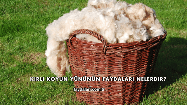 Kirli Koyun Yününün Faydaları Nelerdir?