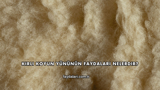 Kirli Koyun Yününün Faydaları Nelerdir?