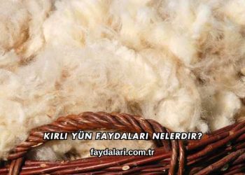 Kirli Yün Faydaları Nelerdir?