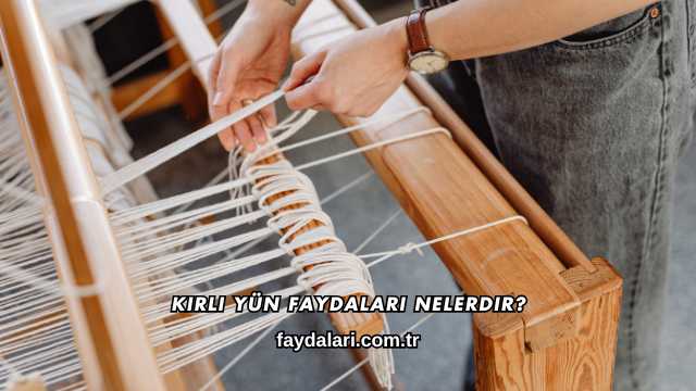 Kirli Yün Faydaları Nelerdir?