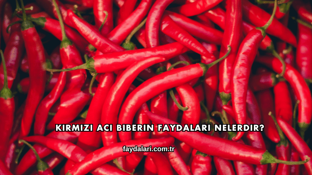 Kırmızı Acı Biberin Faydaları Nelerdir?