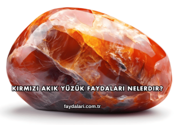 Kırmızı Akik Yüzük Faydaları Nelerdir?