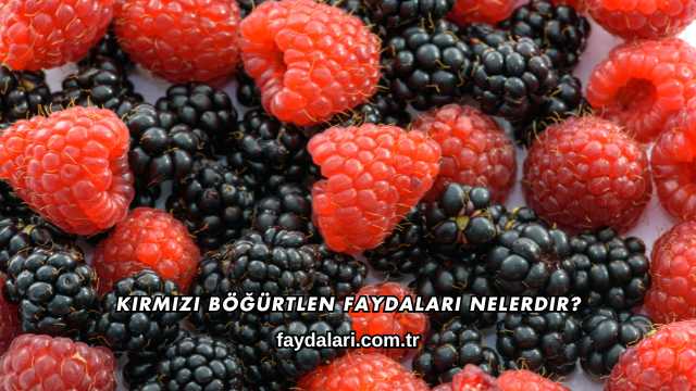 Kırmızı Böğürtlen Faydaları Nelerdir?