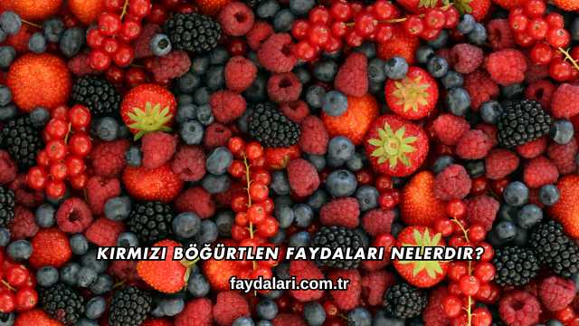 Kırmızı Böğürtlen Faydaları Nelerdir?